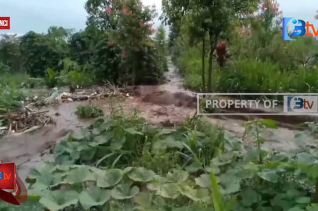 DITERJANG BANJIR, PULUHAN HEKTAR TANAMAN PETANI DI KERINCI RUSAK