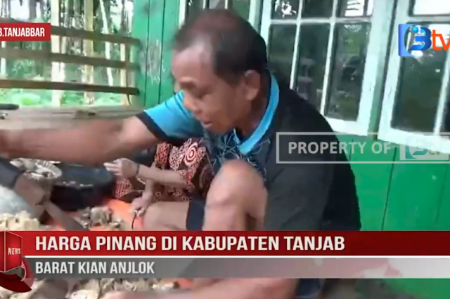 HARGA PINANG DI KABUPATEN TANJAB BARAT KIAN ANJLOK