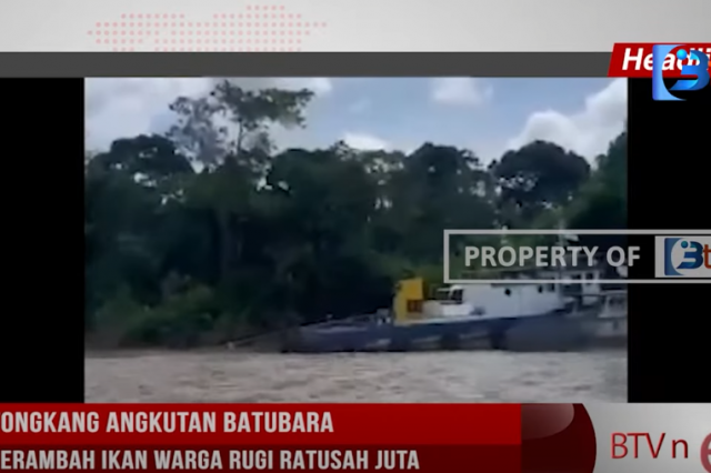 AKIBAT TONGKANG ANGKUTAN BATUBARA TABRAK KERAMBAH IKAN WARGA RUGI RATUSAN JUTA