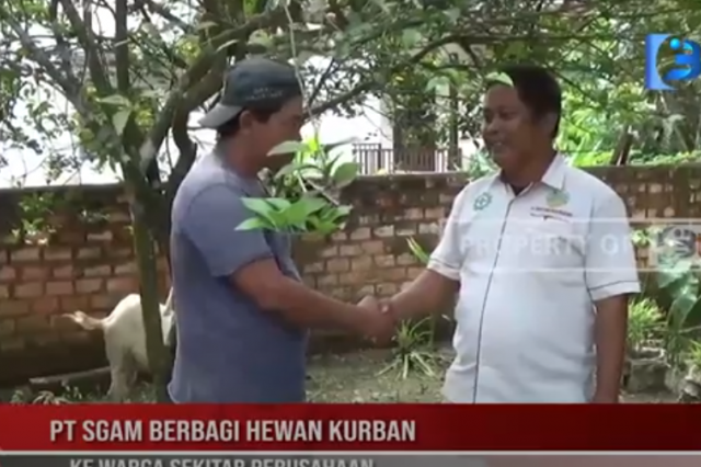 PT SGAM BERBAGI HEWAN KURBAN KE WARGA SEKITAR PERUSAHAAN