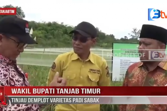 WAKIL BUPATI TANJAB TIMUR TINJAU DEMPLOT VARIETAS PADI SABAK