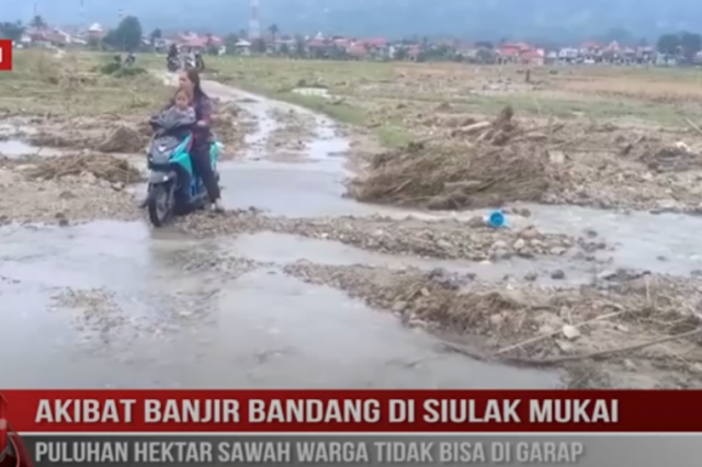 AKIBAT BANJIR BANDANG DI SIULAK MUKAI PULUHAN HEKTAR SAWAH WARGA TIDAK BISA DI GARAP