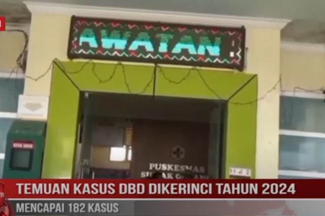 TEMUAN KASUS DBD DIKERINCI TAHUN 2024 MENCAPAI 182 KASUS