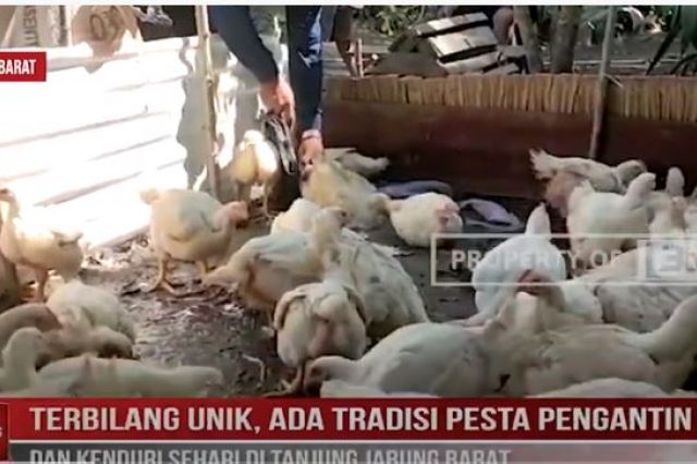 TERBILANG UNIK, ADA TRADISI PESTA PENGANTIN DAN KENDURI SEHARI DI TANJUNG JABUNG BARAT